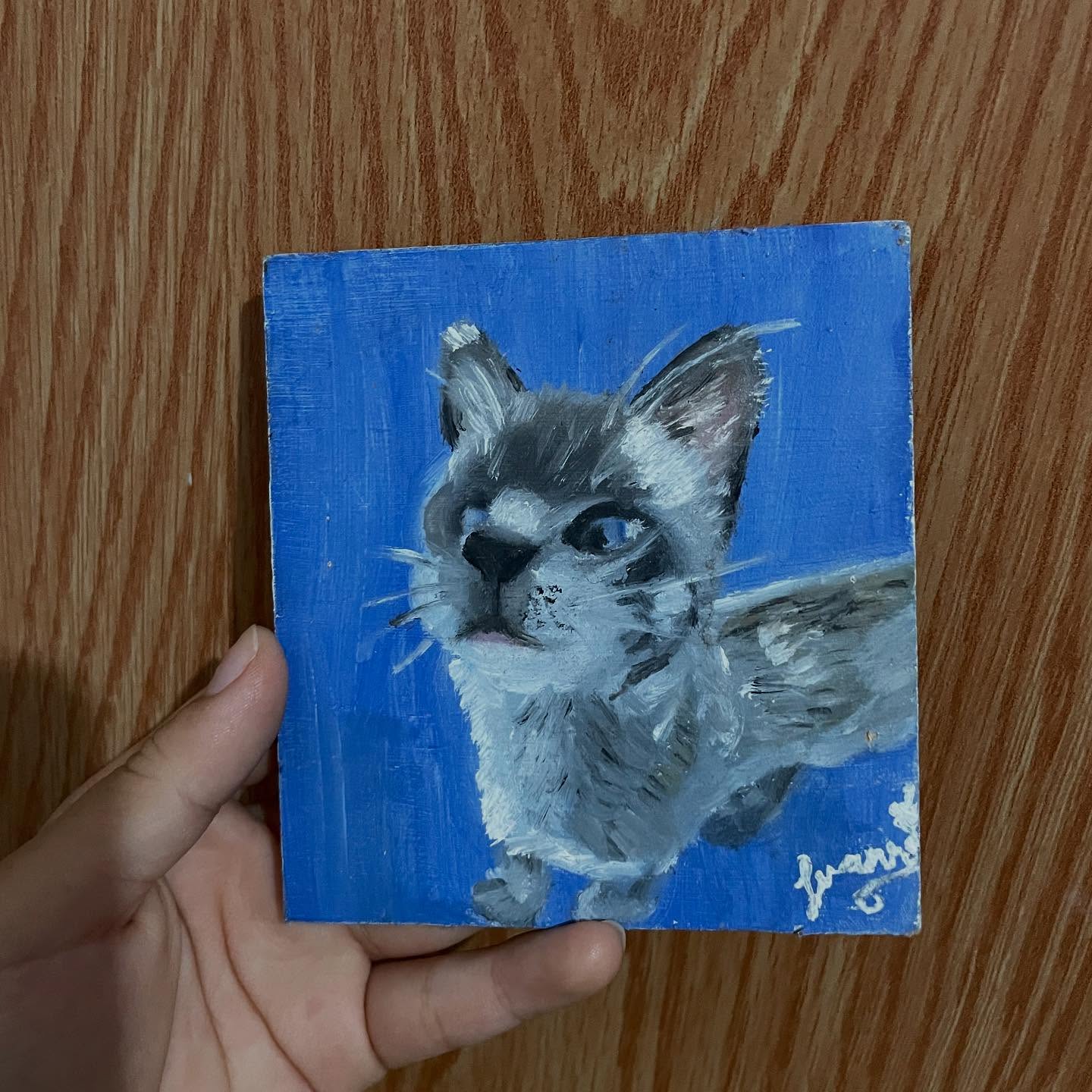 Gatito