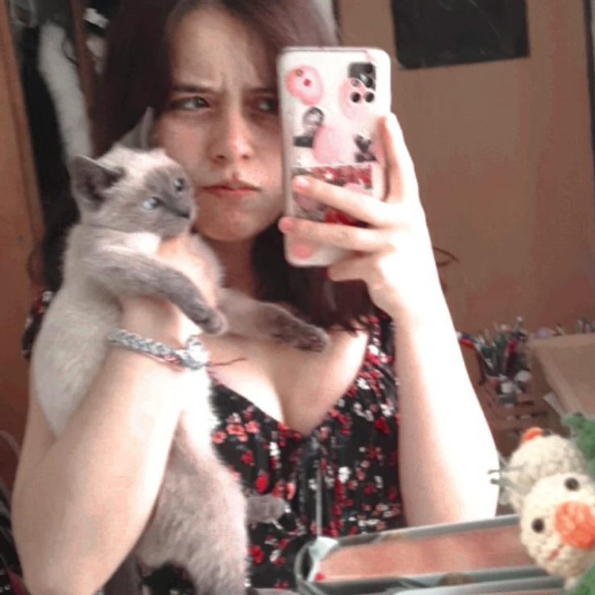 Gatito